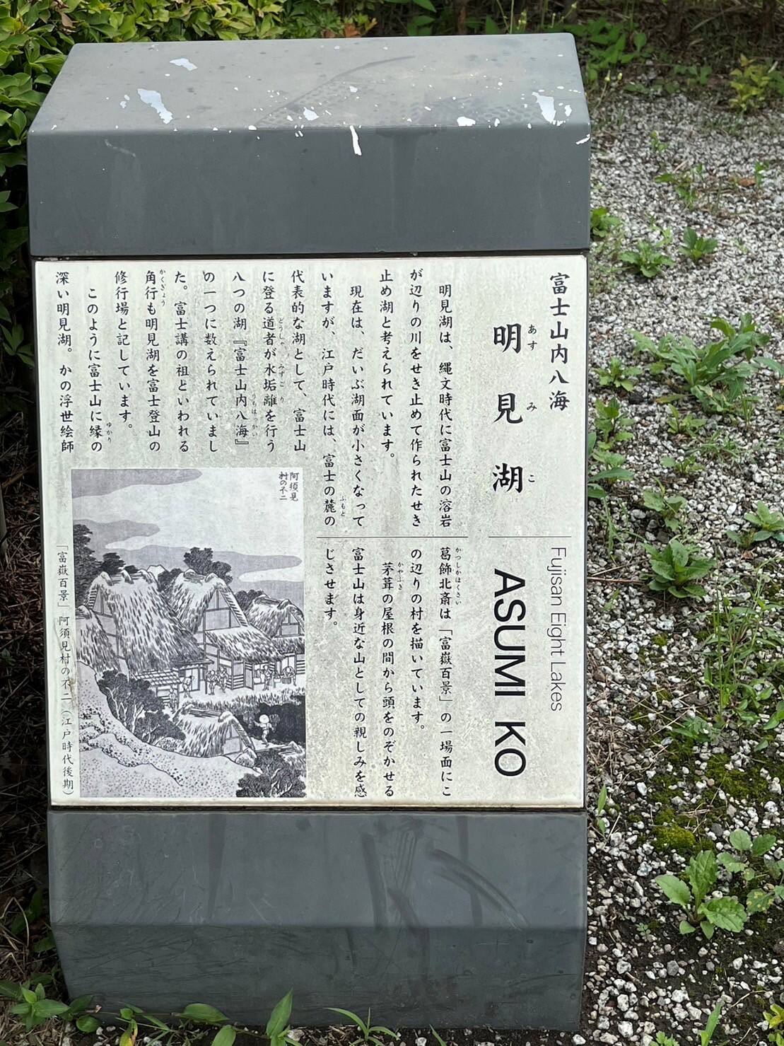 活動の記録写真