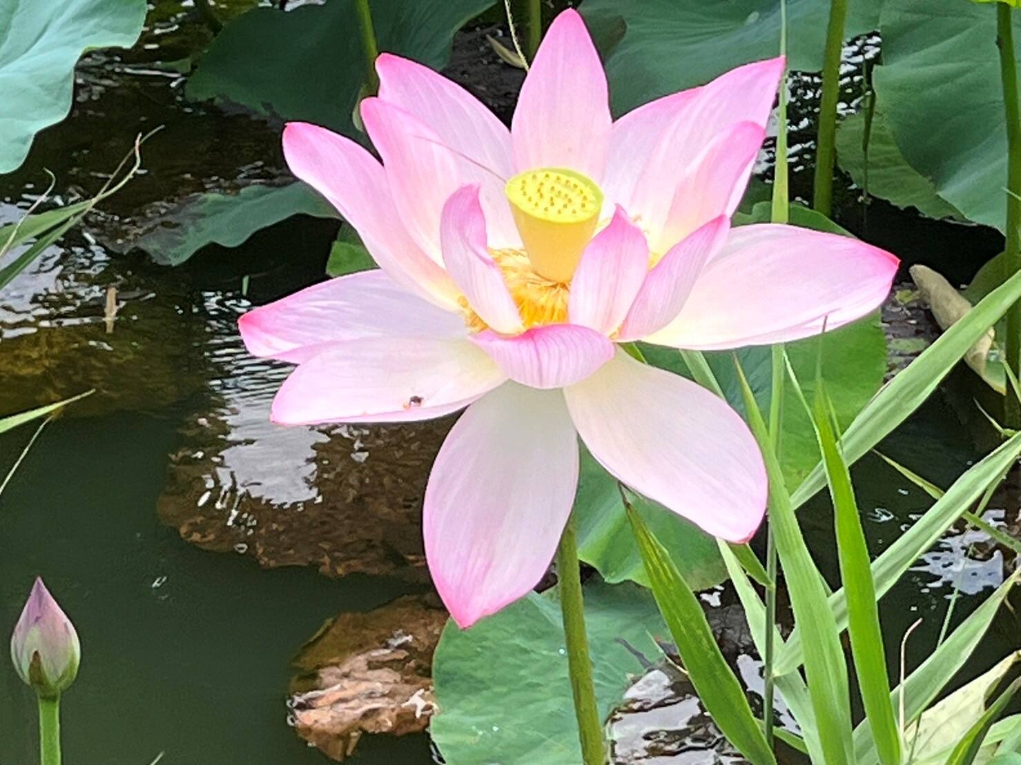 活動の記録写真