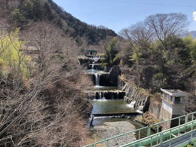 活動の記録写真